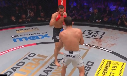    Скриншот трансляции