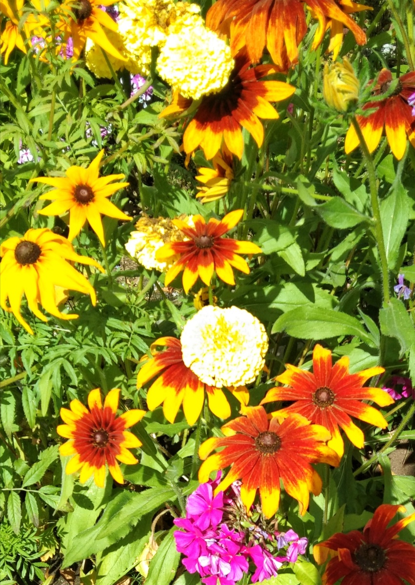 Краски сентября!