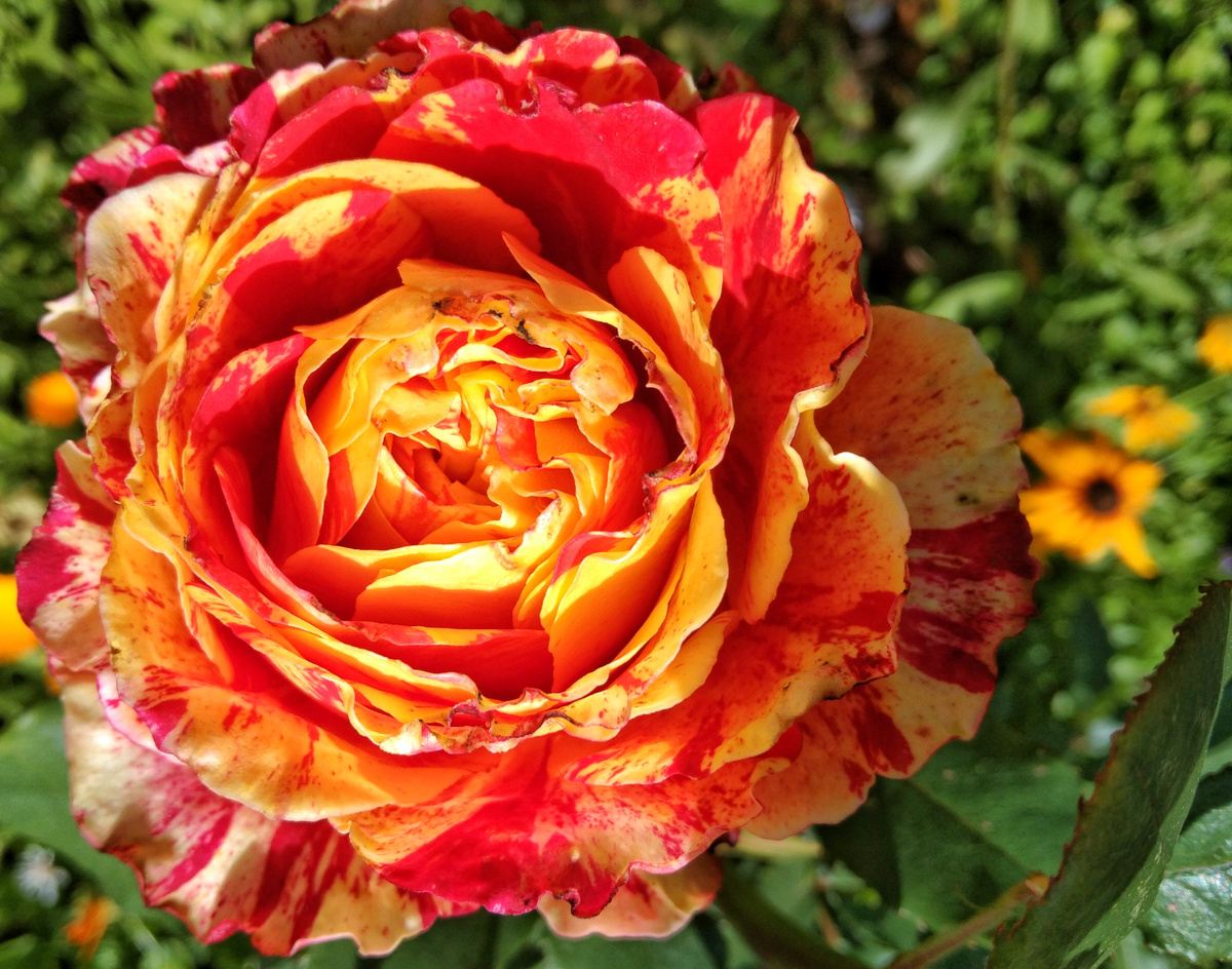 Почти летнее фото!