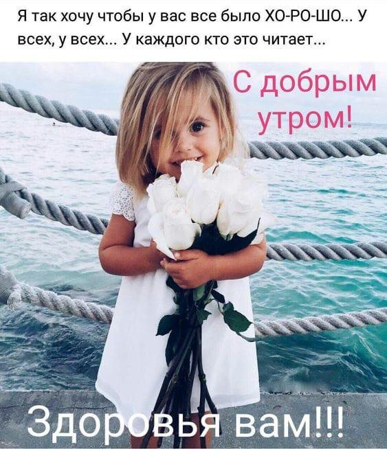 Из открытых источников Интернета