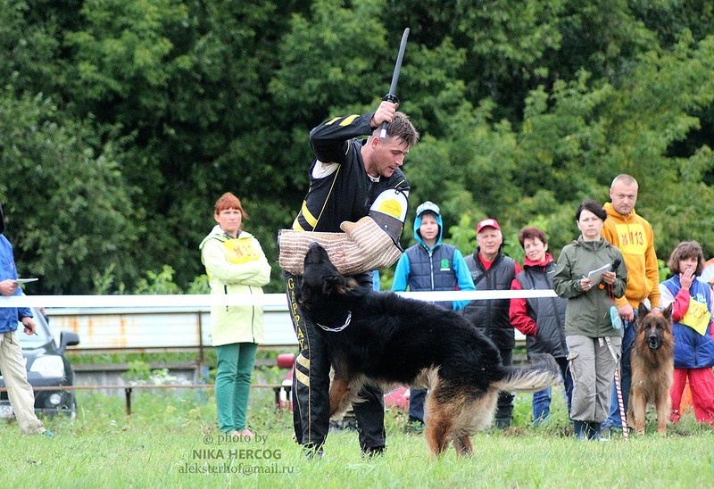 Наша утренняя проверка в Рязани