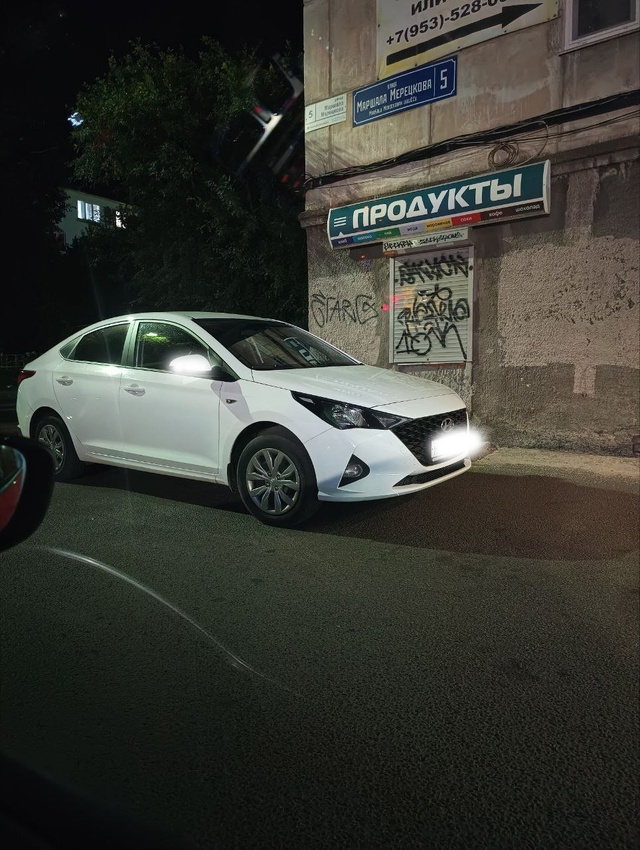    Огромная крыса залезла под капот автомобиля в ПетрозаводскеДТП Петрозаводска и Карелии