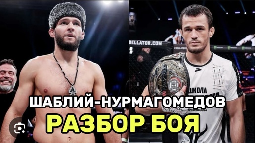 Бой за пояс чемпиона BELLATOR. Шаблий-Нурмагомедов. Обзор боя.