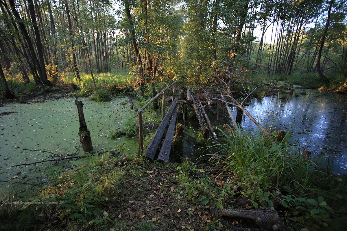 Источник фото: dzen.ru