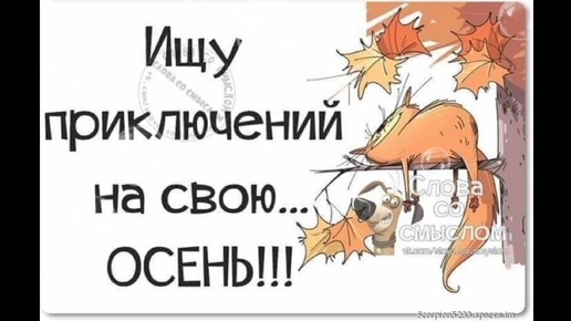 ИЩУ ПРИКЛЮЧЕНИЙ НА СВОЮ ОСЕНЬ))) ПОЗИТИВА ВАМ НА ЦЕЛЫЙ ДЕНЬ!