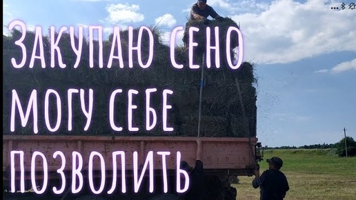 ПОКУПАЮ СЕНО. ОГРОМНЫЕ СУММЫ ПЛАЧУ ЗА СЕНО НА ЗИМУ. ВЕТЕРИНАРЫ ПРИЕХАЛИ