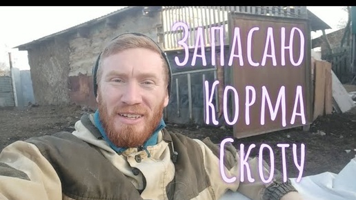 ЗАПАСАЮСЬ КОРМОМ ЖИВОТНЫМ// ОВЕЦ РЕШИЛ НЕ ВЫПАСАТЬ// БИЗНЕС НА КУРАХ?// ЗЕМЛЯНИКА НЕ ПЕРЕЗИМОВАЛА