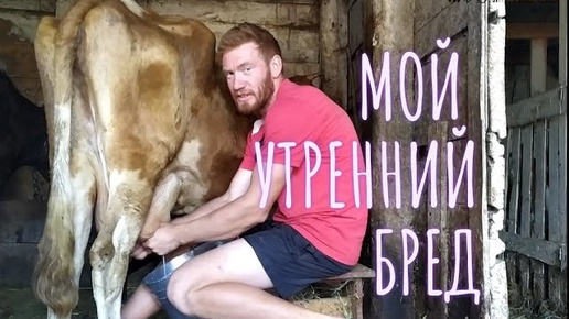 Download Video: НЕ ОТДАЛ КОРОВУ МЯСНИКАМ, СЕБЕ ОСТАВЛЮ. ОХ И ДЕНЬ СЕГОДНЯ. СЕНО ЗАКУПИЛ.