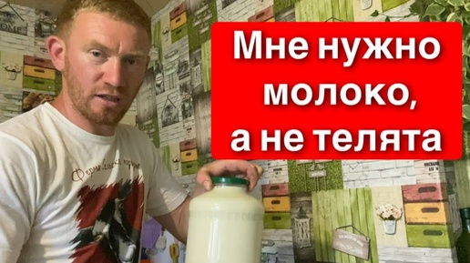 ПРОДАЮ МОЛОКО НА ЧЕТВЁРТЫЙ ДЕНЬ С ОТЁЛА