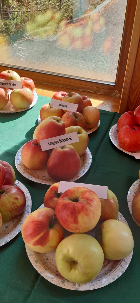 К дегустации все готово.