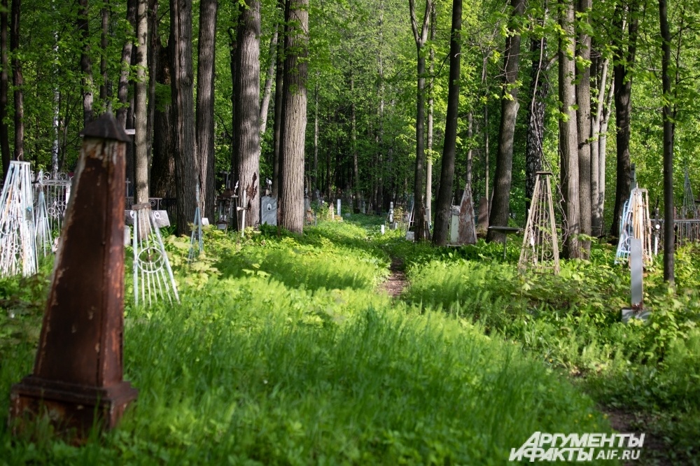    Школьницы осквернили память умерших на одном из пермских кладбищ. Фото:  АиФ/ Алексей Уткин