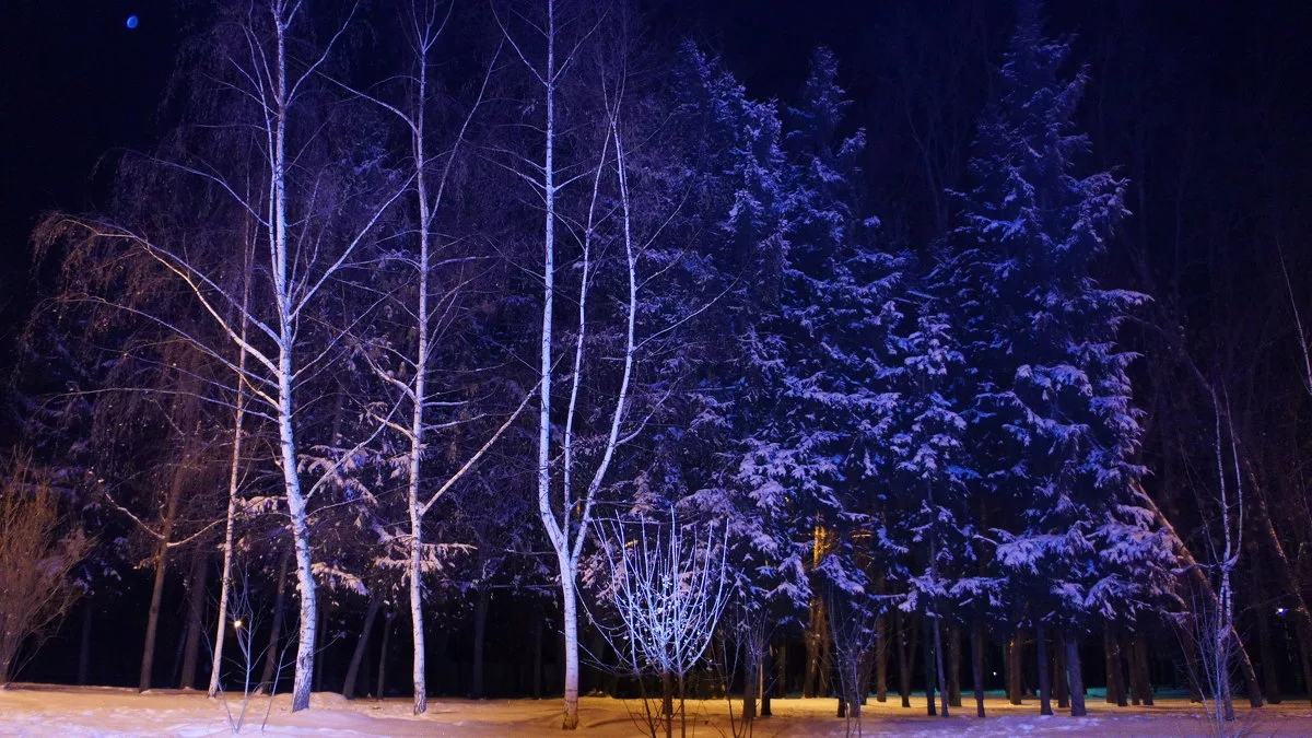 фото с сайта fotokto.ru