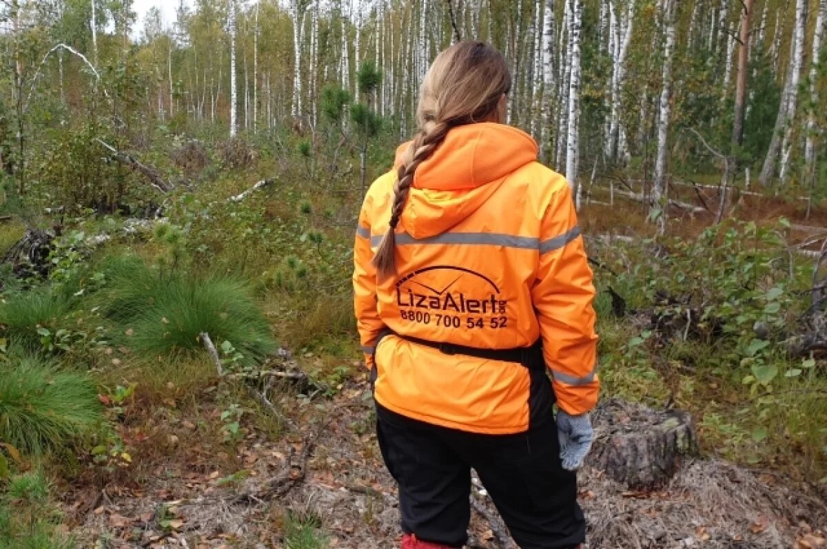    Четверых жителей Новосибирской области ищут с августа 2024 года