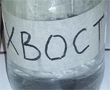 Яндекс картинки