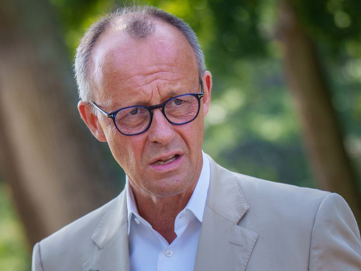 Фридрих МерцФото: Global Look Press