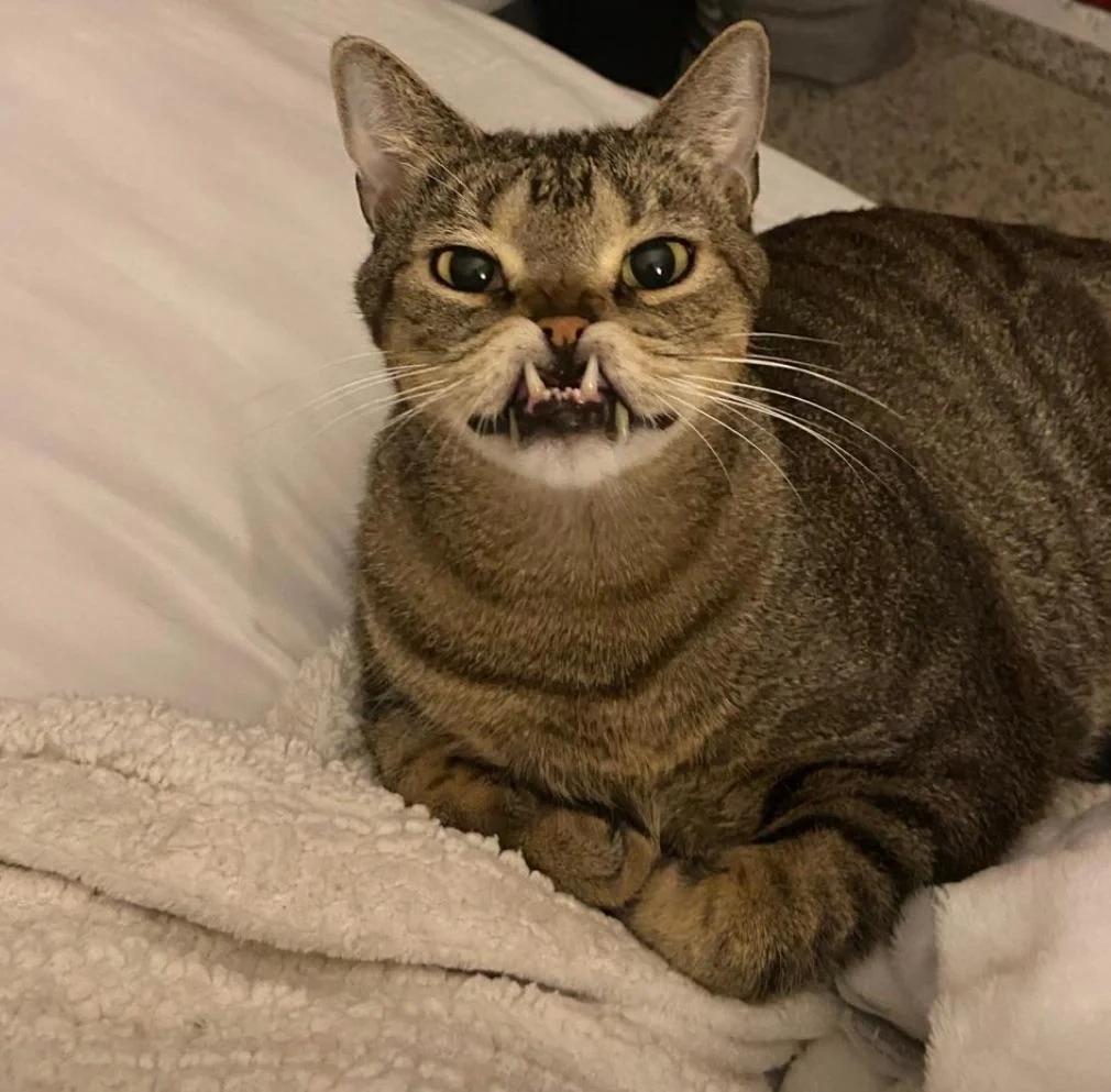    Теперь это его дом, а мы — слуги.