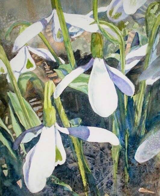Betsy Buurma-Morton «Подснежники» («Snowdrops»)