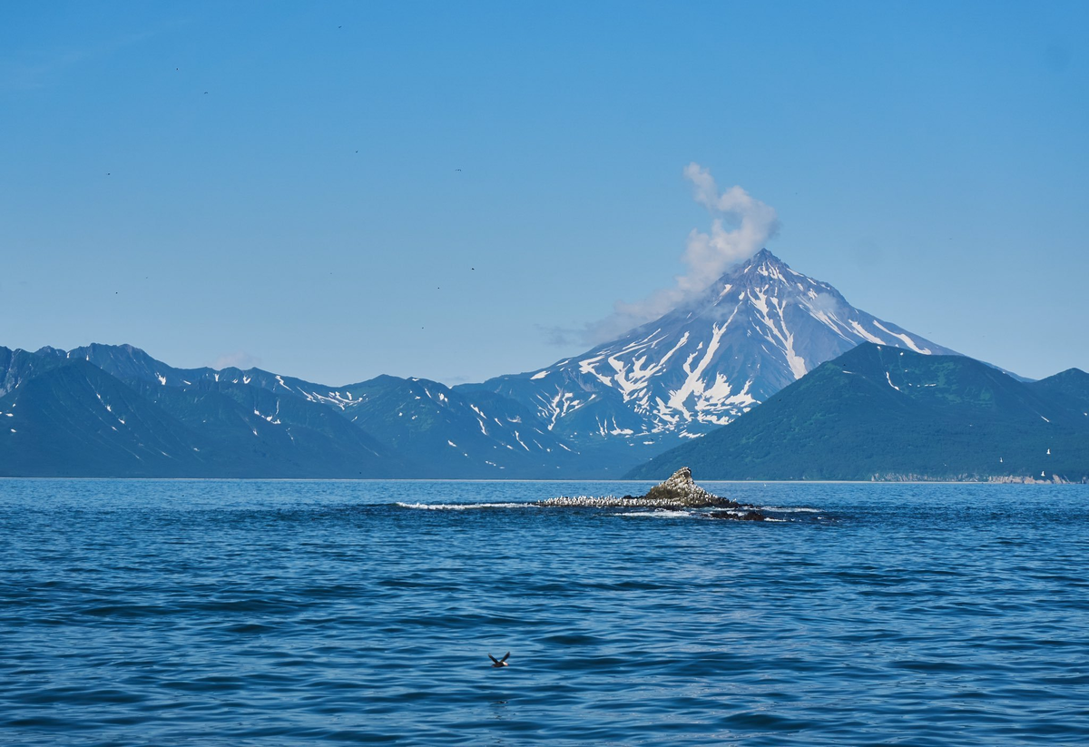 Камчатка. Вид с моря на вулканические скалы