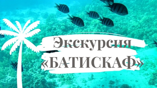 Экскурсия «БАТИСКАФ» в Шарм Эль Шейхе 🐠