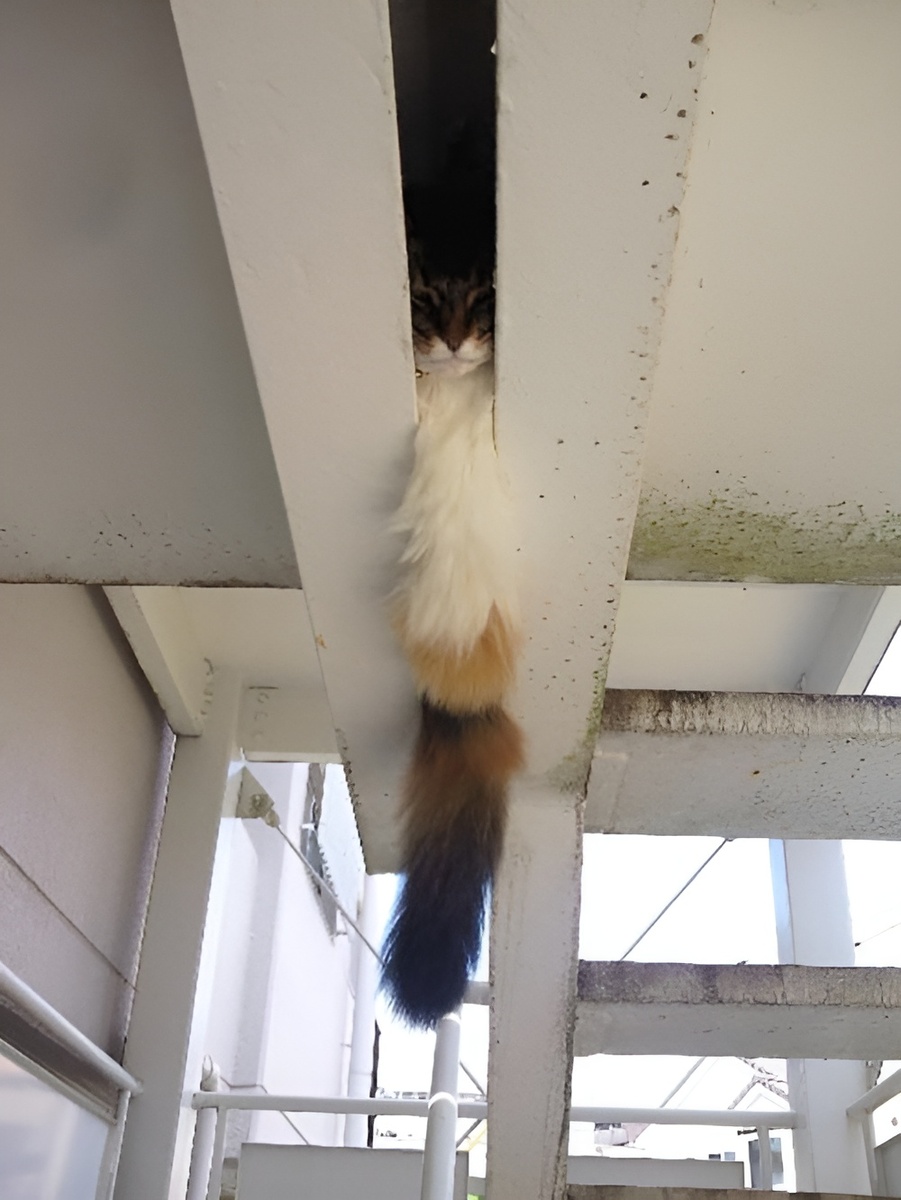 Когда думал, что просчитал все, но одну деталь все же упустил. (Источник bugaga).