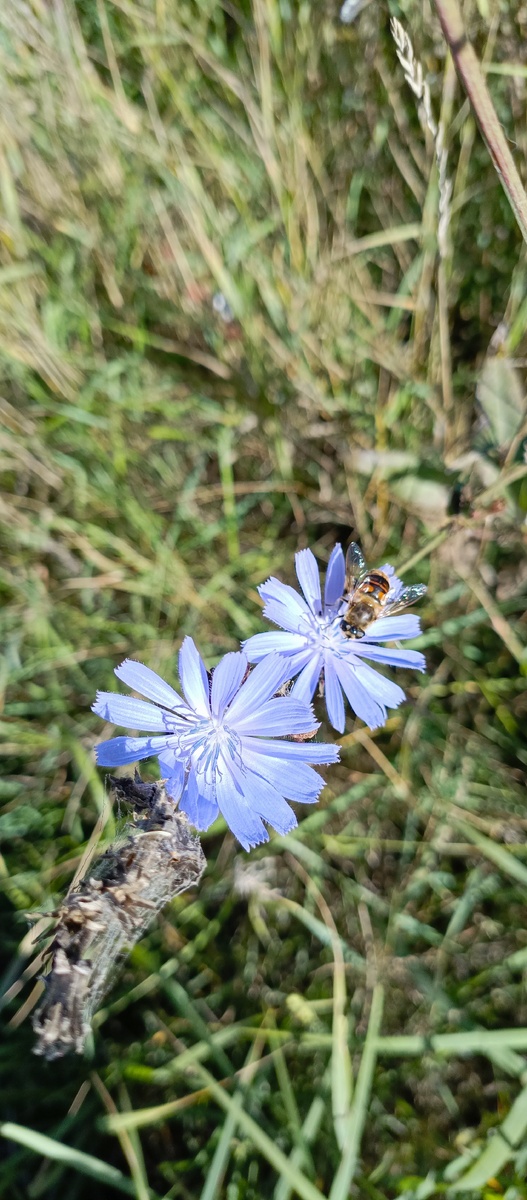 Фотка по дороге на дачу.