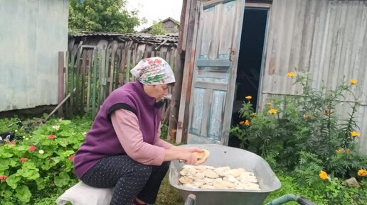 Нескучная жизнь на пенсии😀Вожусь с грибами/Взяла секатор,пошла в огород/