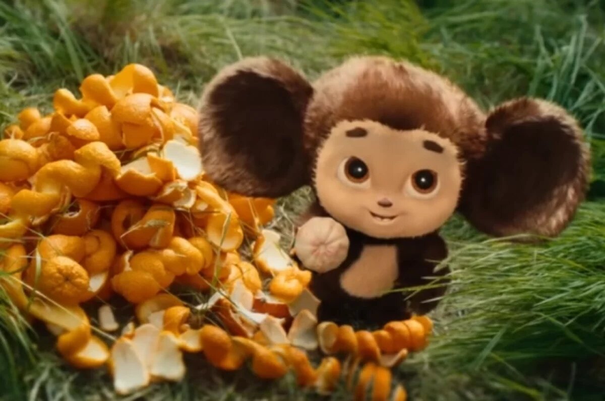    Воспитатель детсада на выборах стала блогером и рассказала о Чебурашке