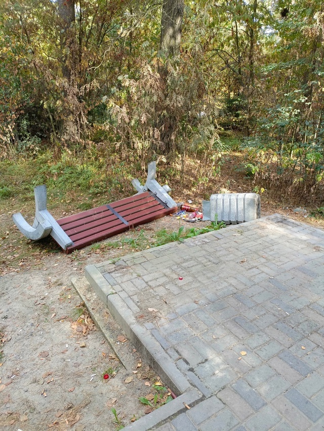    Разгромлен парк в Соломенном, где наслаждалась атмосферой глава ПетрозаводскаТОС СОЛОМЕННОЕ