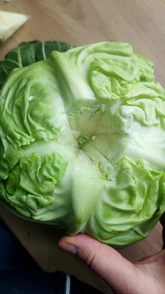 молоденькой капуста