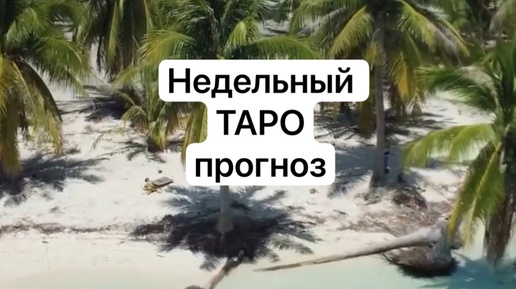 Недельный ТАРО прогноз 🔥❤️с вариантами