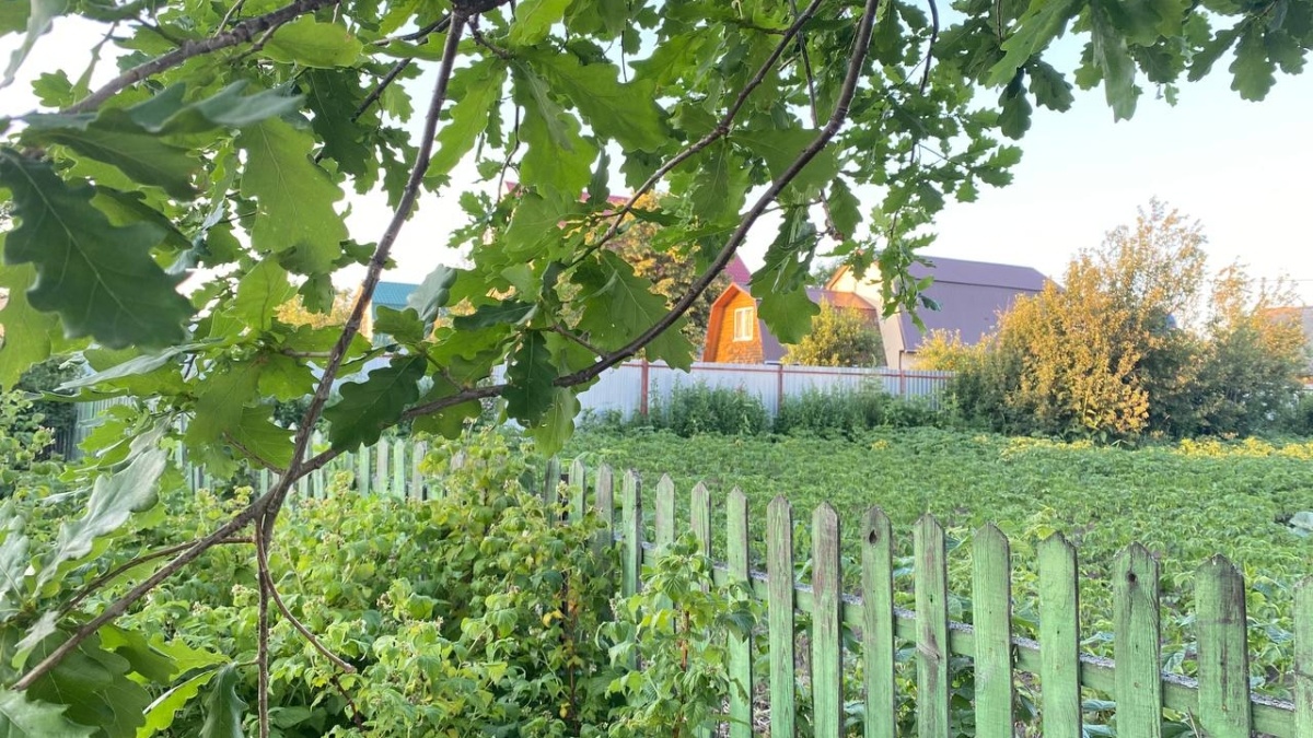 SM.News Тюмень📷
