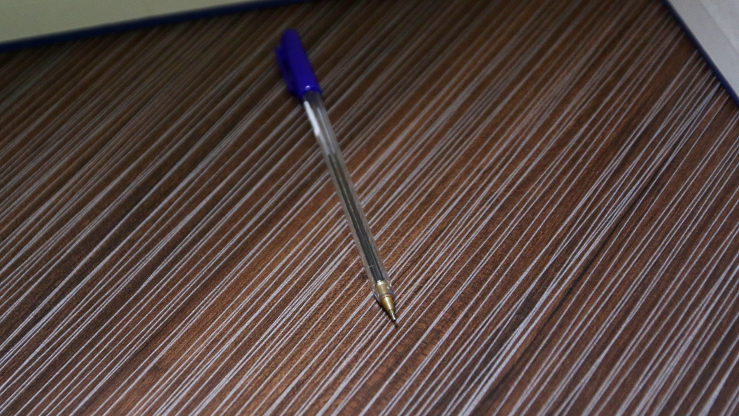    Фото: Maksim Konstantinov/Globallookpress