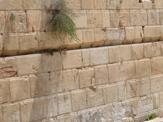 Западная стена . Фото :Александр Розензафт