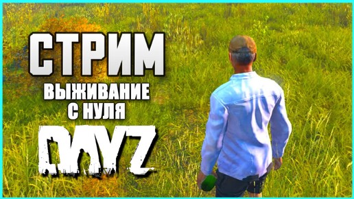 Лут для ВЫЖИВАНИЕ с НУЛЯ в ДЕЙЗ ПВП! Стрим DayZ PVP