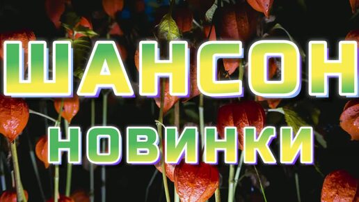 ▶️233. 💎СЛУШАТЬ 🍑НОВИНКИ РУССКИЙ ШАНСОН 2024 | НОВЫЙ ШИКАРНЫЙ РУССКИЙ ШАНСОН 2024 | ШАНСОН 2024