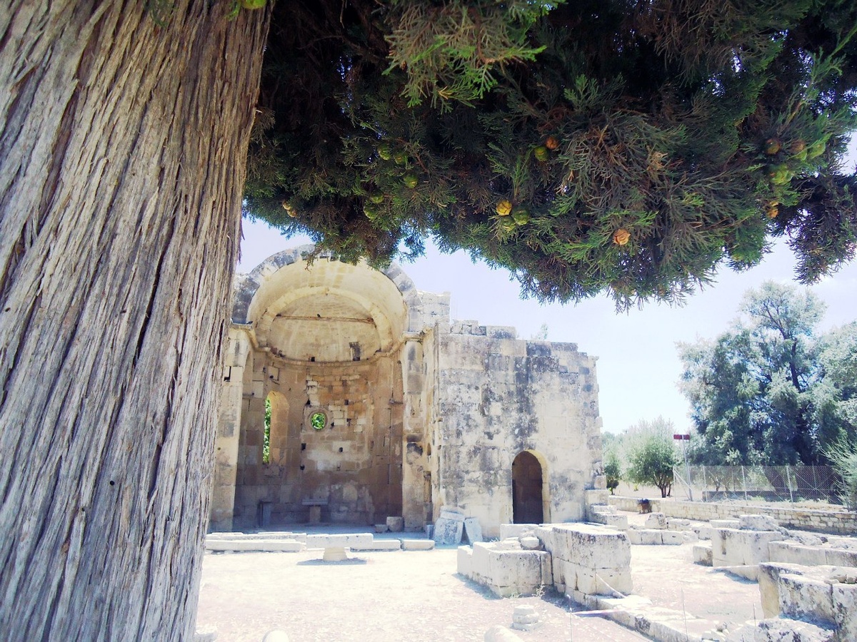 три кадра для замани