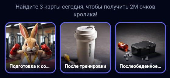 Комбо для Rocky Rabbit на 8.09