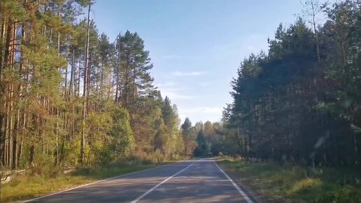 Золотая осень. Дорога. Усты Думиничские. Родина.