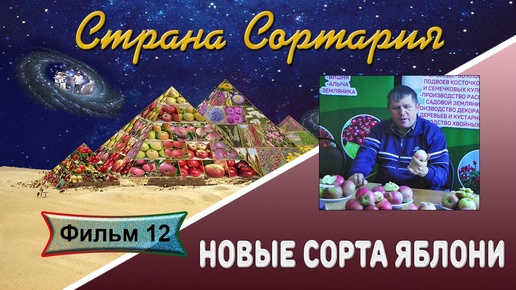 Страна Сортария Фильм 12 Новые сорта яблони. Дегустация 2