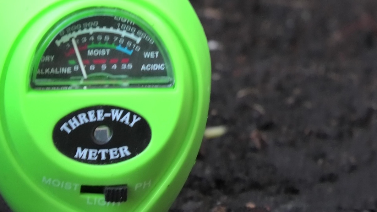 Динамометр единица измерения. В чем он измеряется. Основные единицы физических величин системы си. Момент силы формула физика 7 класс. В чем он измеряется.