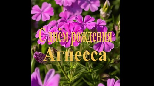 С днём рождения Агнесса