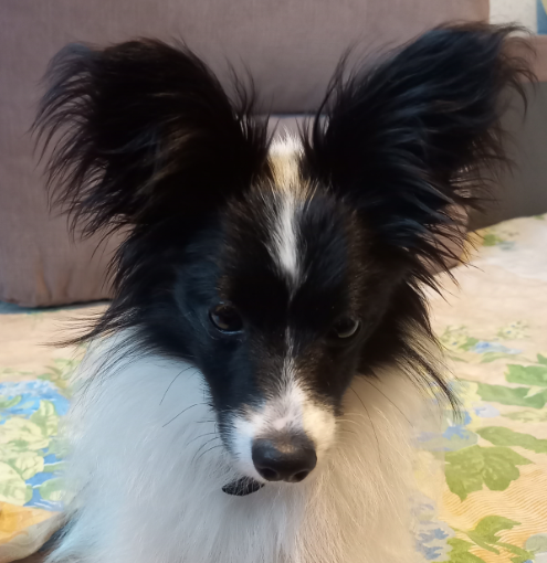 Как все это выучить?!