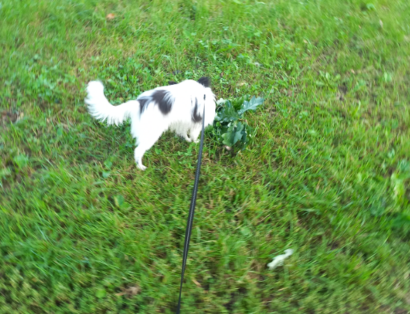 Секунда и "ФУ!". На всякий случай