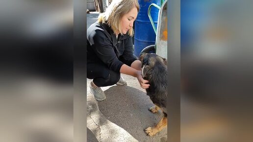 Всё шашлыки съедены, помидоры в садах собраны, пора и к нам заглянуть в гости 😉🤗😘💖