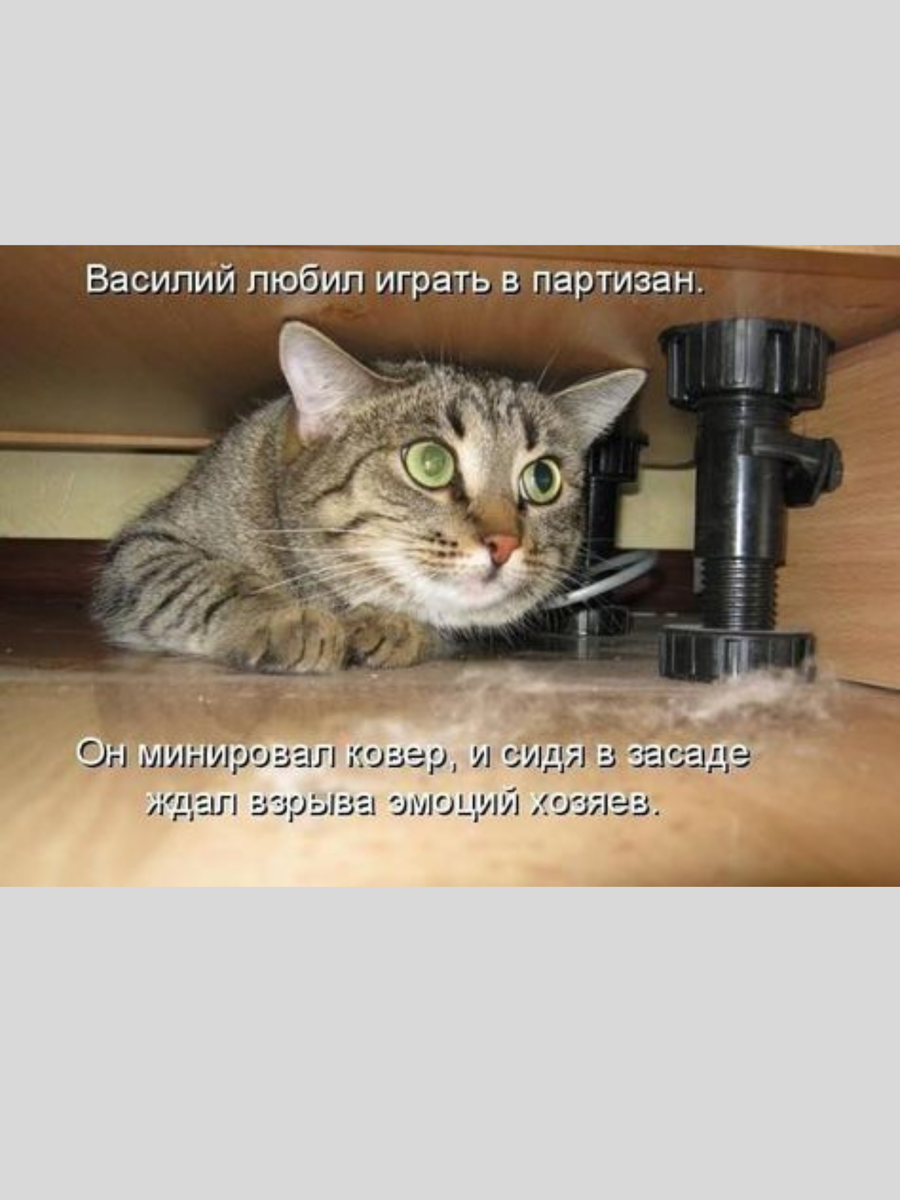 Ну что то хочу