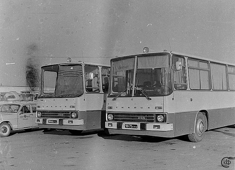 Автобусы Икарус-255 ставропольских автопредприятий, в точности такие же, как описываемый экземпляр на центральном автовокзале города Ставрополя, конец семидесятых годов. Фото из коллекции В. Шатского
