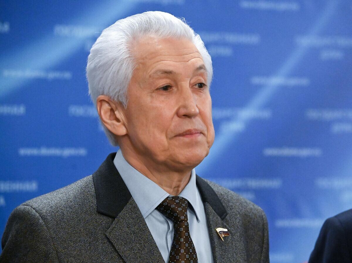    Руководитель фракции "Единая Россия" в Государственной Думе РФ Владимир Васильев© РИА Новости / Владимир Федоренко