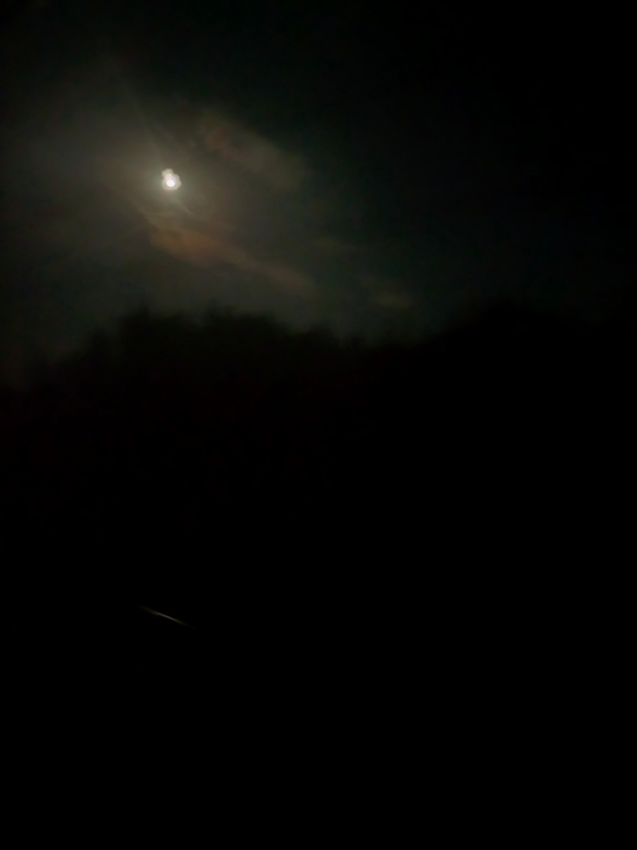 Словила луну в окошке вагона