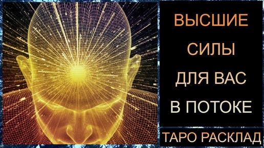 ВЫСШИЕ СИЛЫ ДЛЯ ВАС В ПОТОКЕ! #тарорасклад #тарород #tarot #тароонлайн #таротрансформация