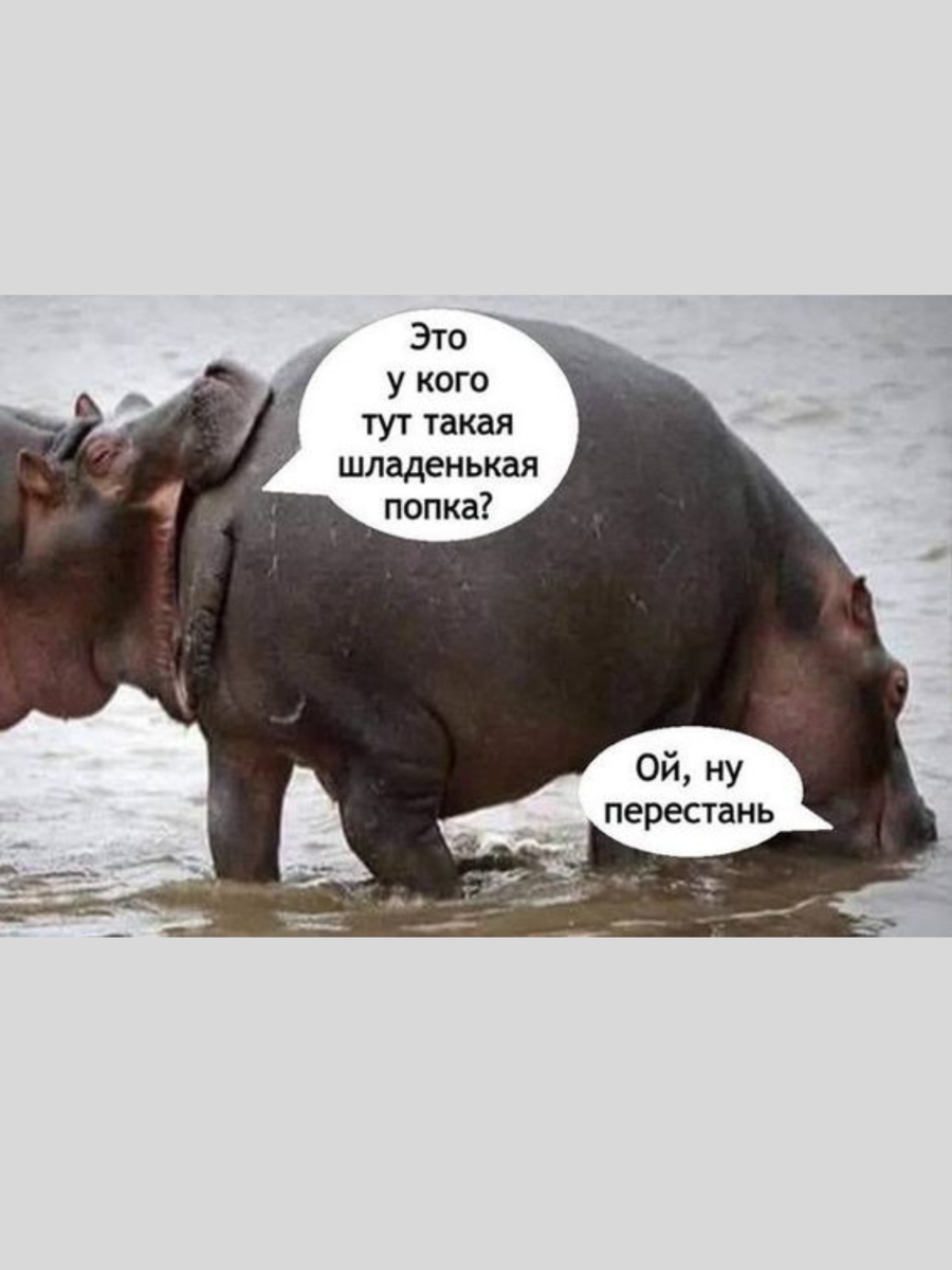 Хорошо смеется тот кто смеется последним. Смеяться над чужой бедой. Статус. Никогда цитаты. Смех продлевает жизнь смотря над кем смеешься.